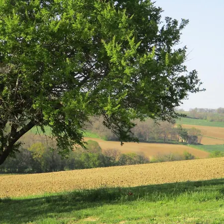 Le Petit Bergeret En Gascogne Holiday home *