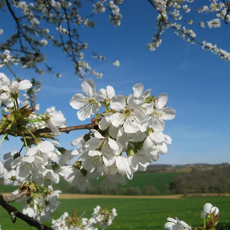 Holiday home Le Petit Bergeret En Gascogne *