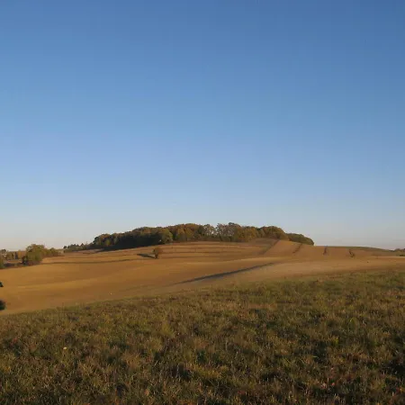Le Petit Bergeret En Gascogne Saint-Puy