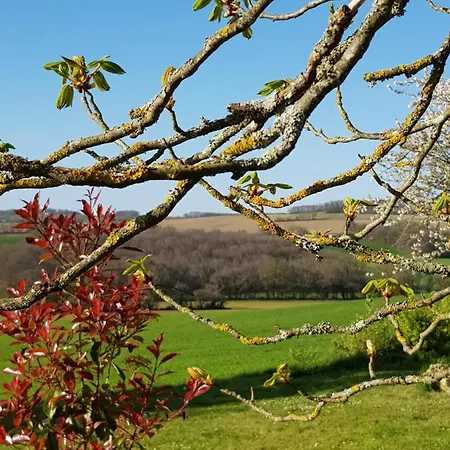 Le Petit Bergeret En Gascogne * Saint-Puy